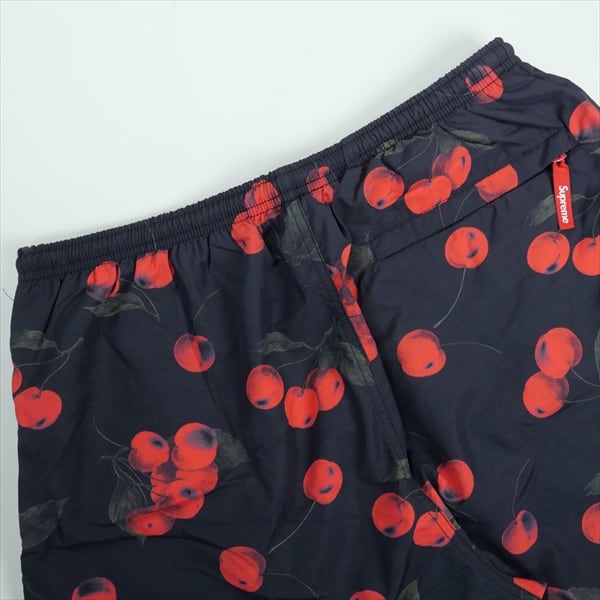 Size【M】 SUPREME シュプリーム 19SS Nylon Water Short Black Cherry