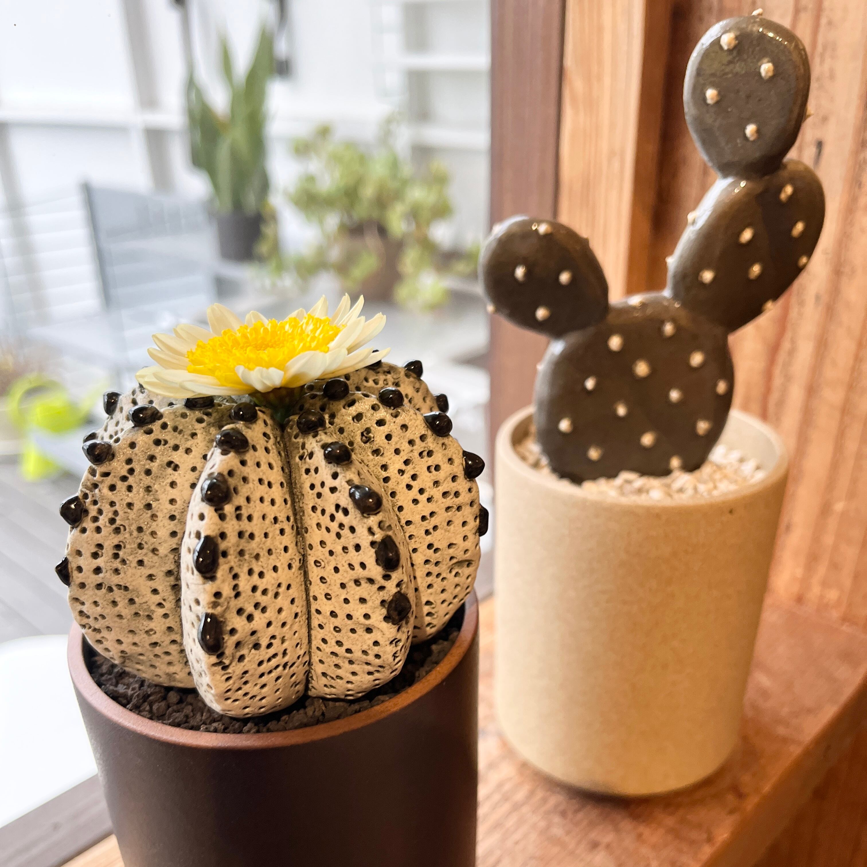 STUDIO.ZOK 陶植 ウチワサボテン 小 | ihana design(イハナデザイン）
