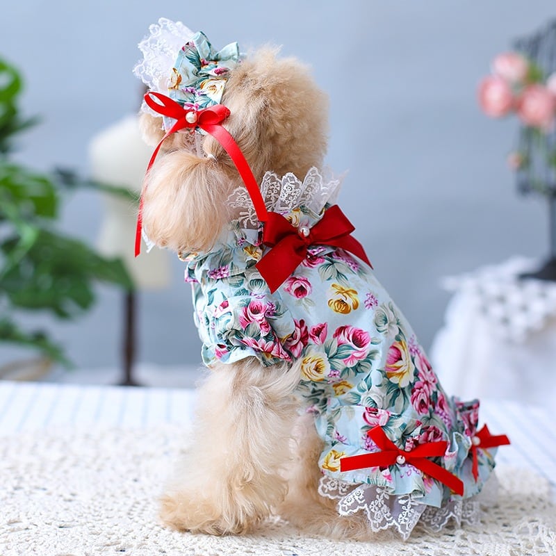 大型犬もOK ぱっと華やぐお花柄ワンピース