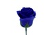 パステルバラT-BL6 濃ブルー (15輪入りor25輪入り)