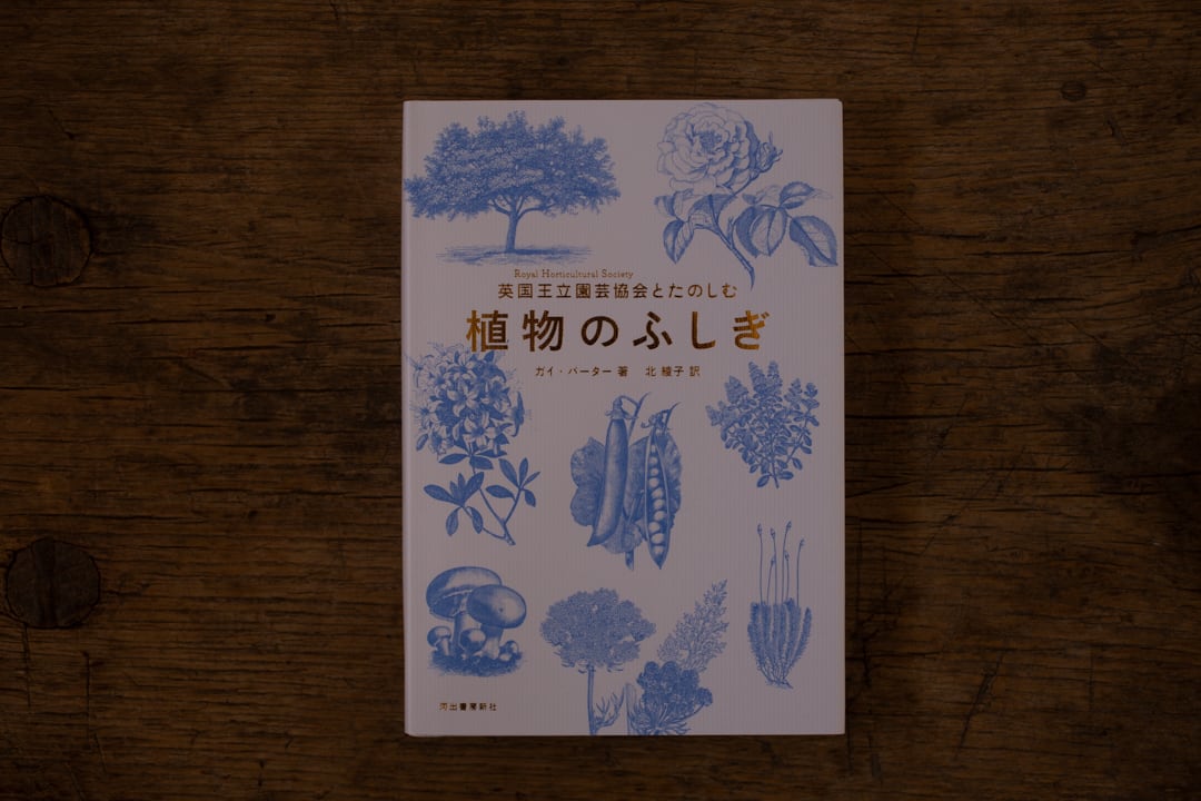 なぜなに植物のふしぎ 英国王立園芸協会とたのしむ 植物のふしぎ ／ ガイ・バーター著 | casimasi