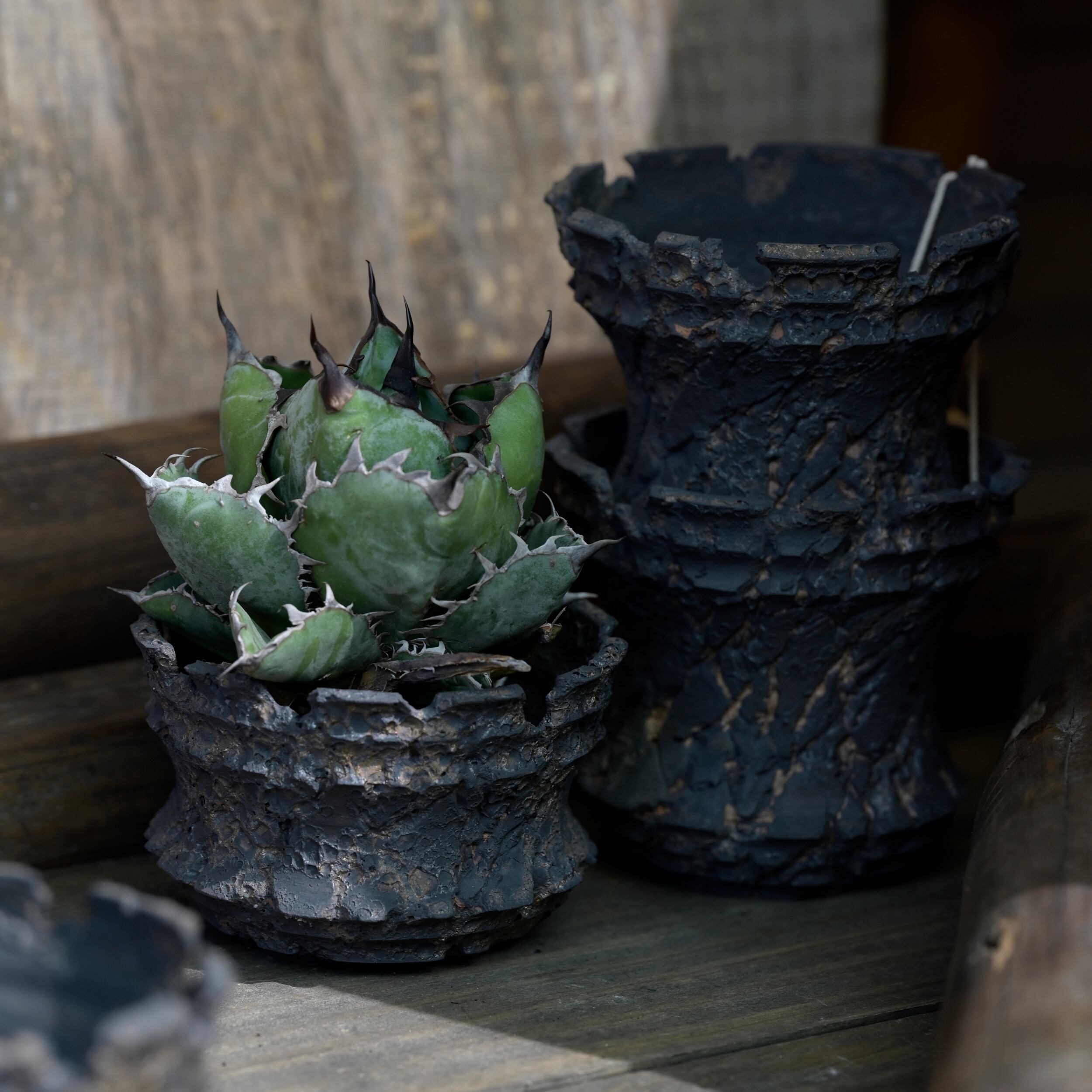 ytyf】Damiji shogun pot (short ver) S | Agave Rocon ytyf】Damiji shogun pot (short ver) S | Agave Rocon