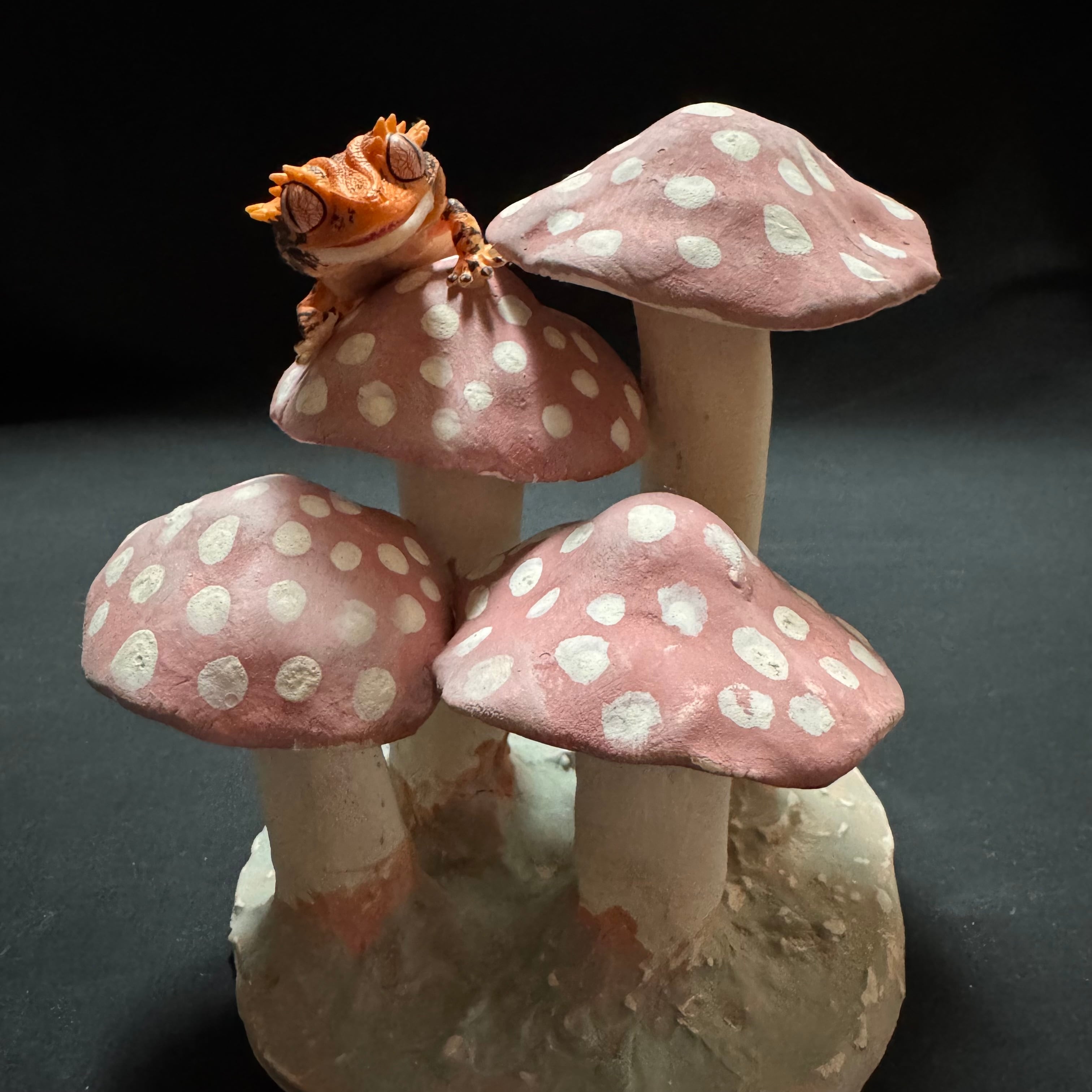 爬虫類用キノコシェルター | ガラダ堂 garadadou