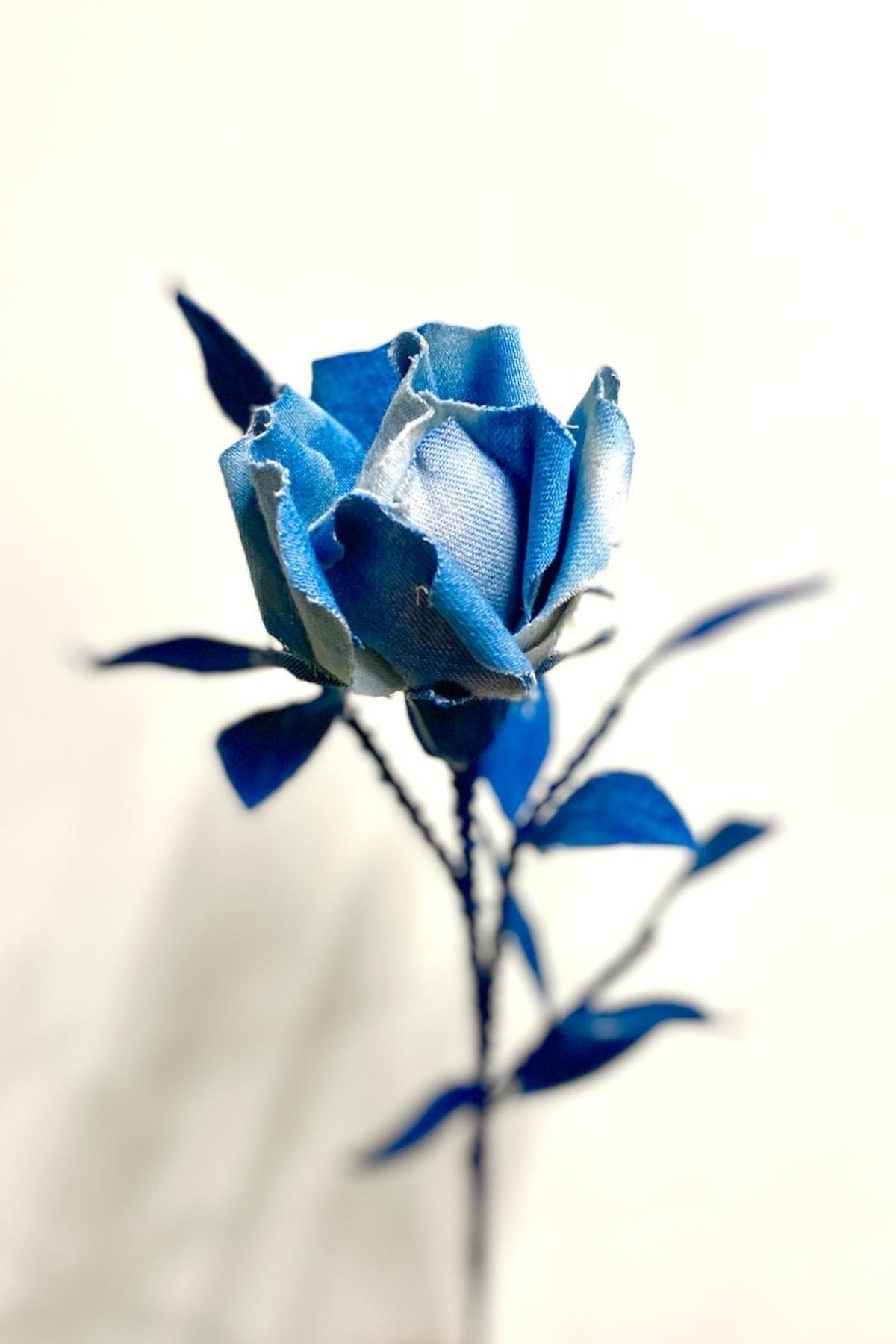 DENIM ROSE】 -IBARA / 藍バラ- | 青木被服 公式オンラインストア DENIM ROSE】 -IBARA / 藍バラ- | 青木被服 公式オンラインストア