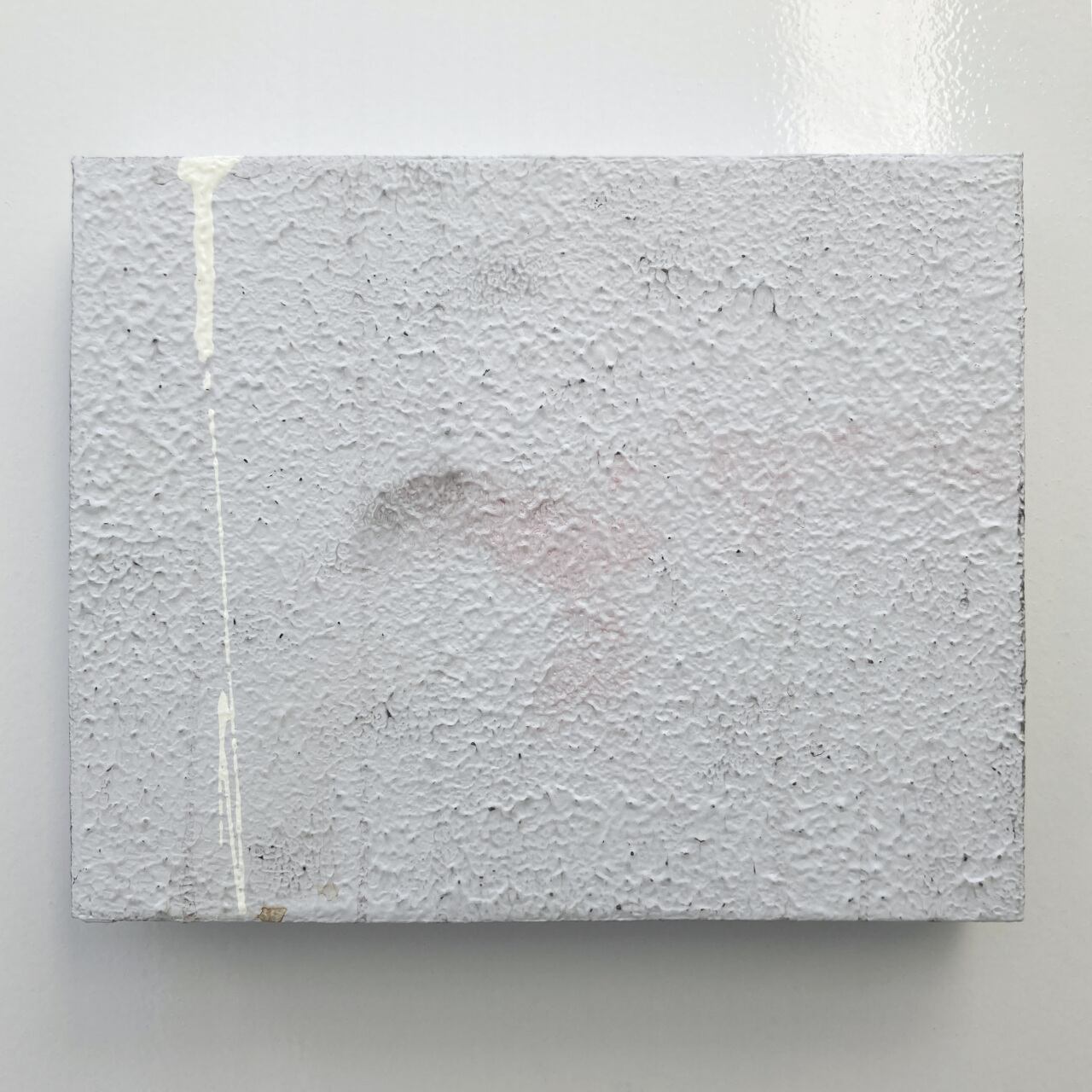 白枠 不毛の大地x4 GAIHEKI TEXTURE 21F3_2 | HAZUKI SHIMMURA webshop