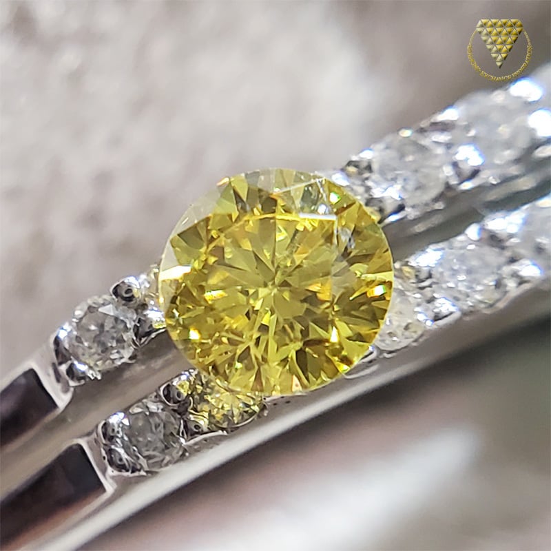 イェローダイヤモンドルース/ F.D.B.O.YELLOW/ 0.256 ct.