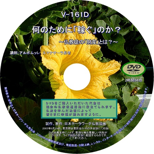 【DVD】V-161「何のために『稼ぐ』のか？」～仏教徒の財産とは？～ 初期仏教法話
