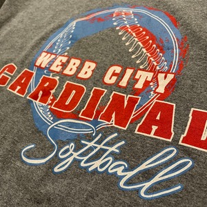 【GILDAN】ソフトボール webb city cardinal プリント Tシャツ XL ビッグサイズ US古着