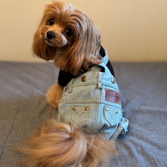 【予約】デニムロンパース I｜周りと差がつく犬服