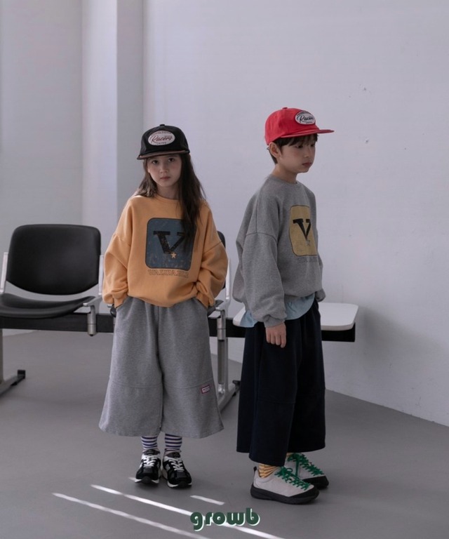 《送料無料》予約：Vトレーナー【growb】