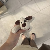 ［ strap ］heart dog
