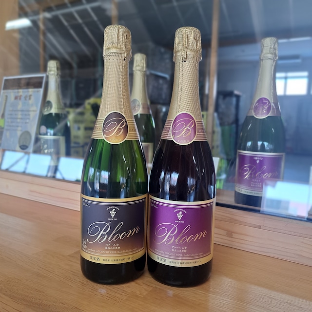 ブルーム40周年記念セット