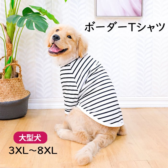 KM980TS大型犬 大きめサイズ ゴールデンレトリバー プードル 犬 服 ...