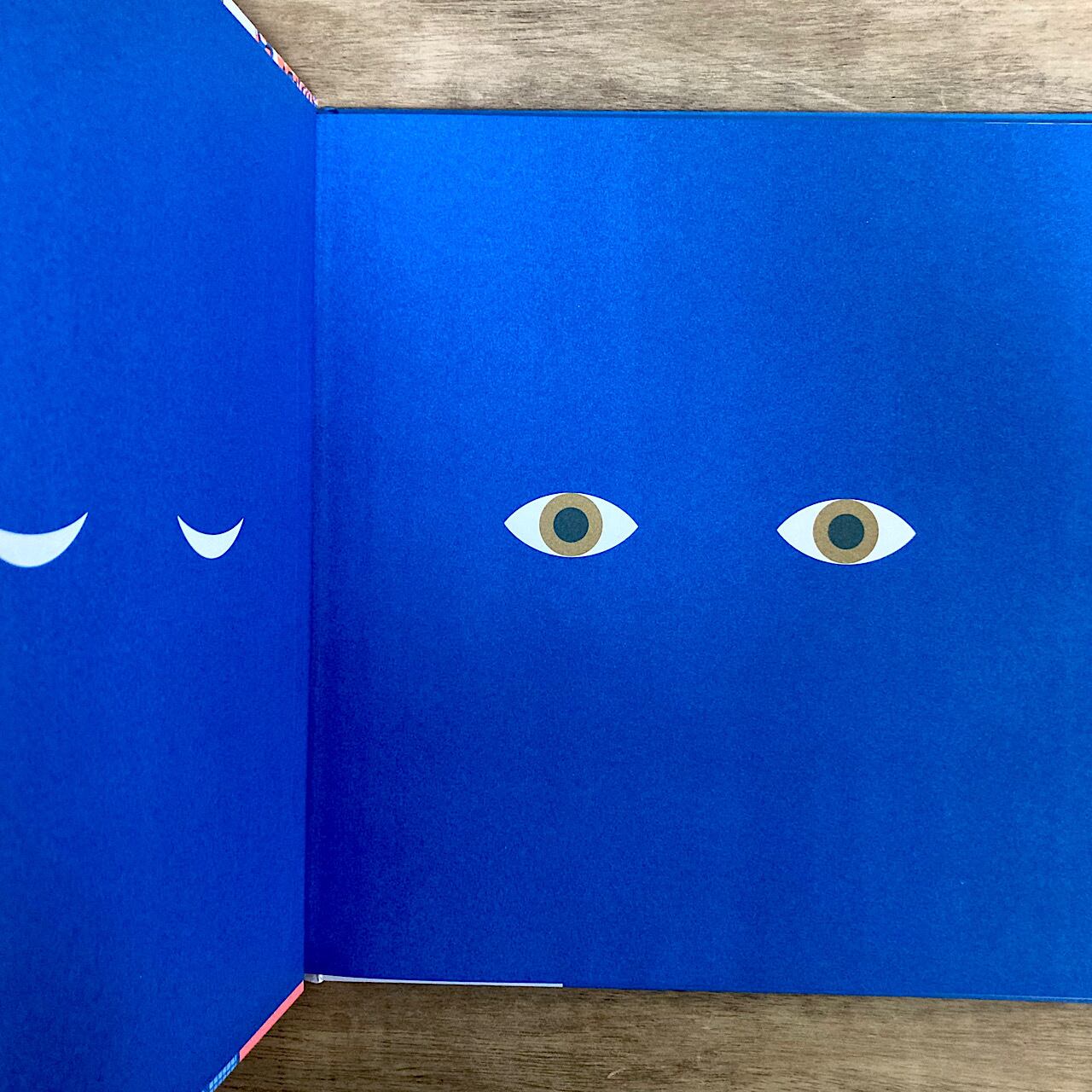 Sight Glimmer, Glow, Spark, Flash! 素敵な洋書の絵本のお店 Read Leaf Books