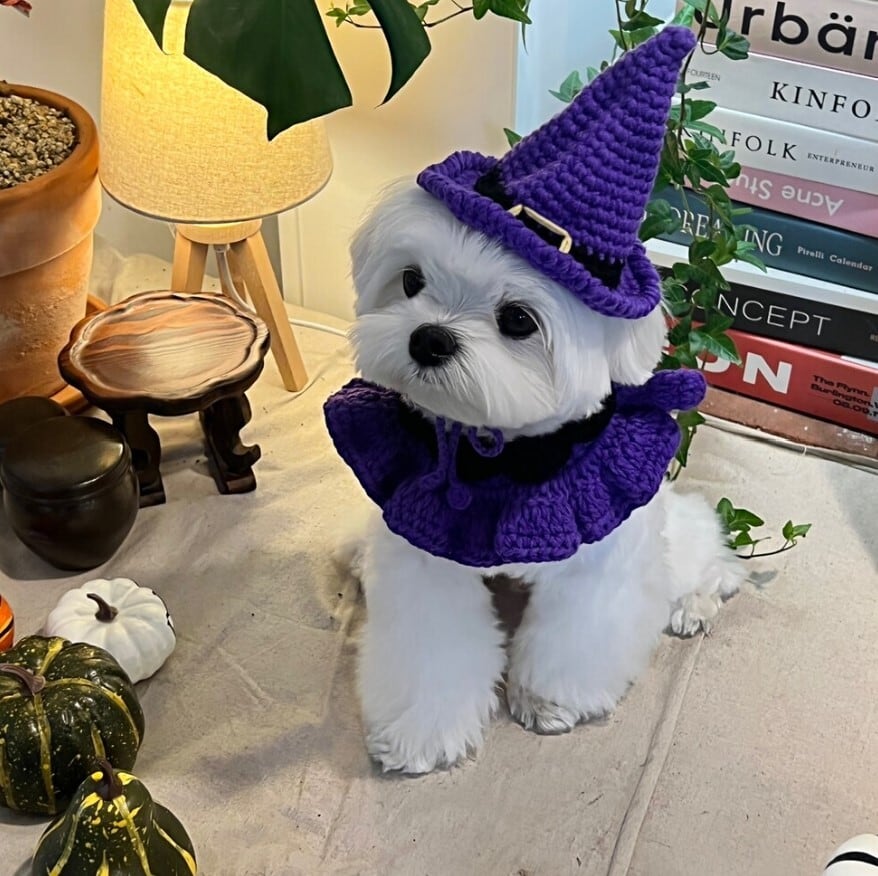 即納【BELELE】Halloween Knit Set《Purple》