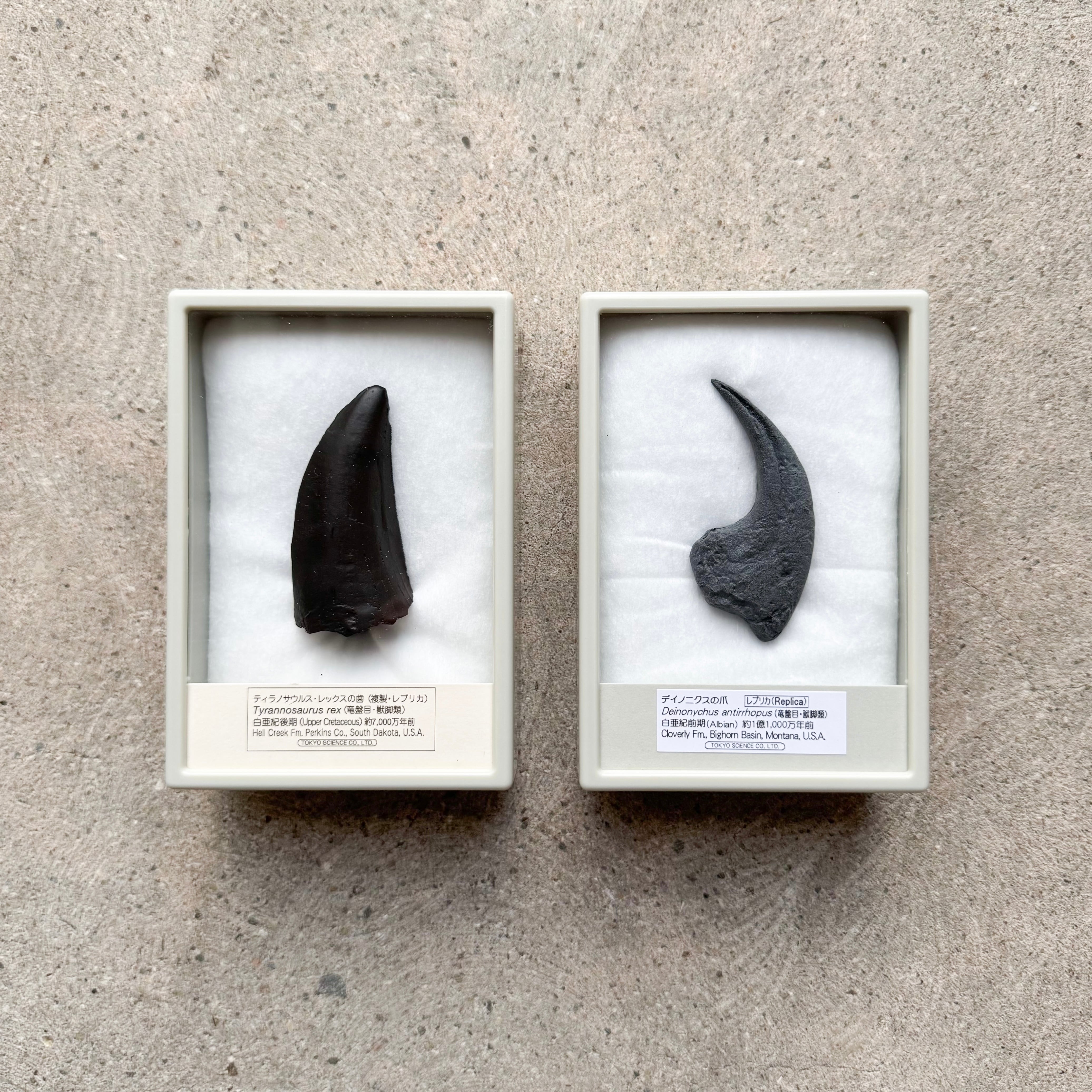 マンモスの体毛 | TOYTOYTOY