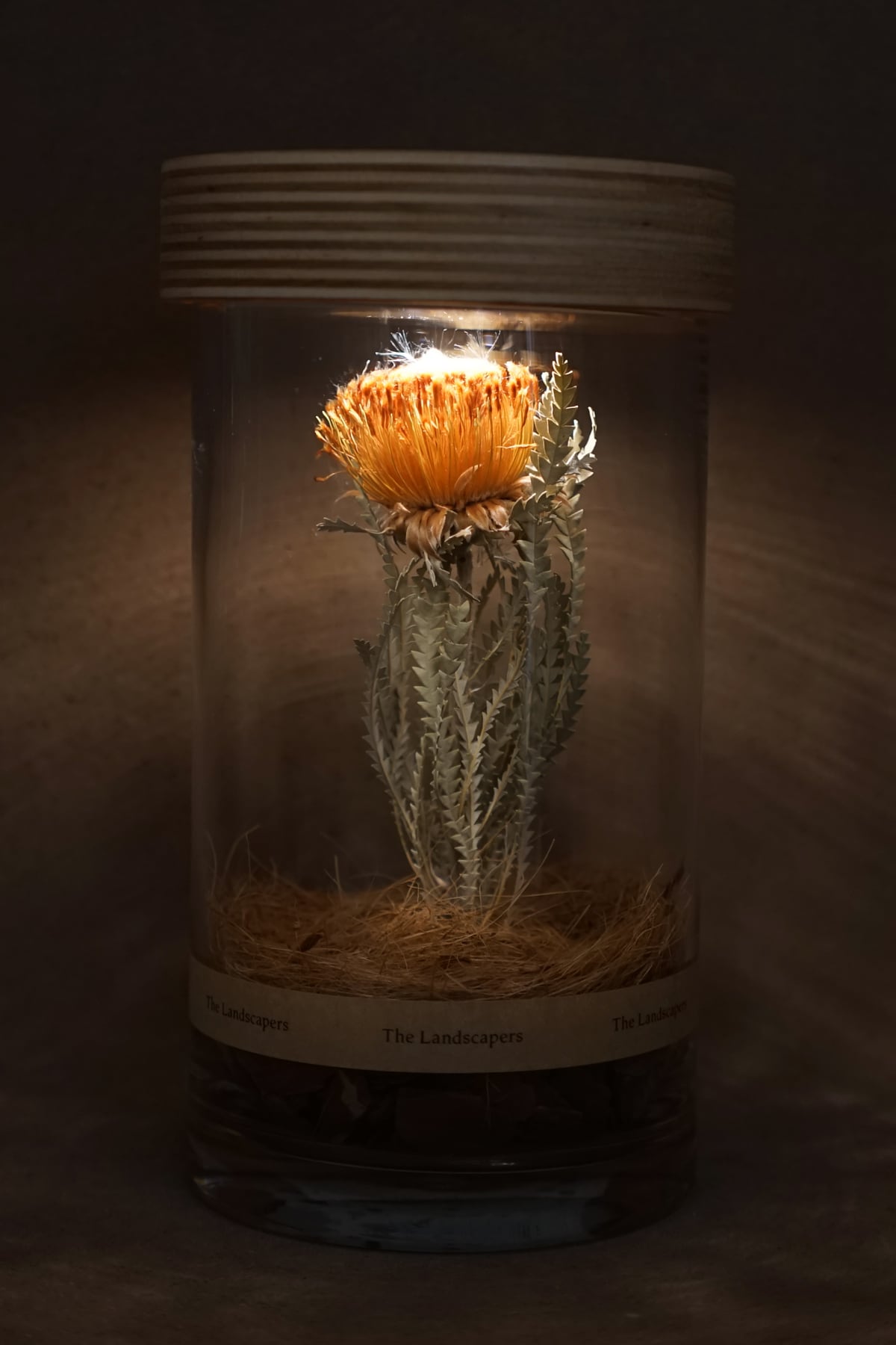 期間限定20%オフ！】LIGHTING WOOD PEDESTAL（照明木台座） | The