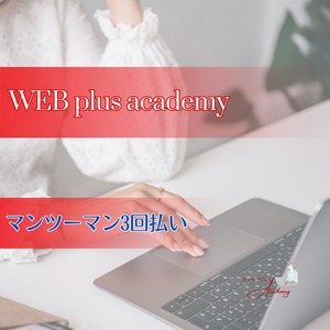 WEB プラス アカデミー マンツーマン 3回払い