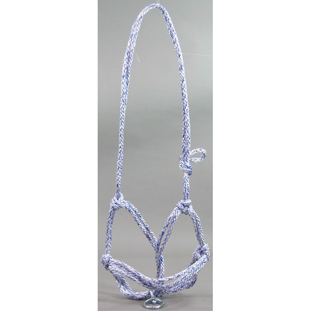 混合モクシ（頭絡）　２才　　　ヨリ戻し付