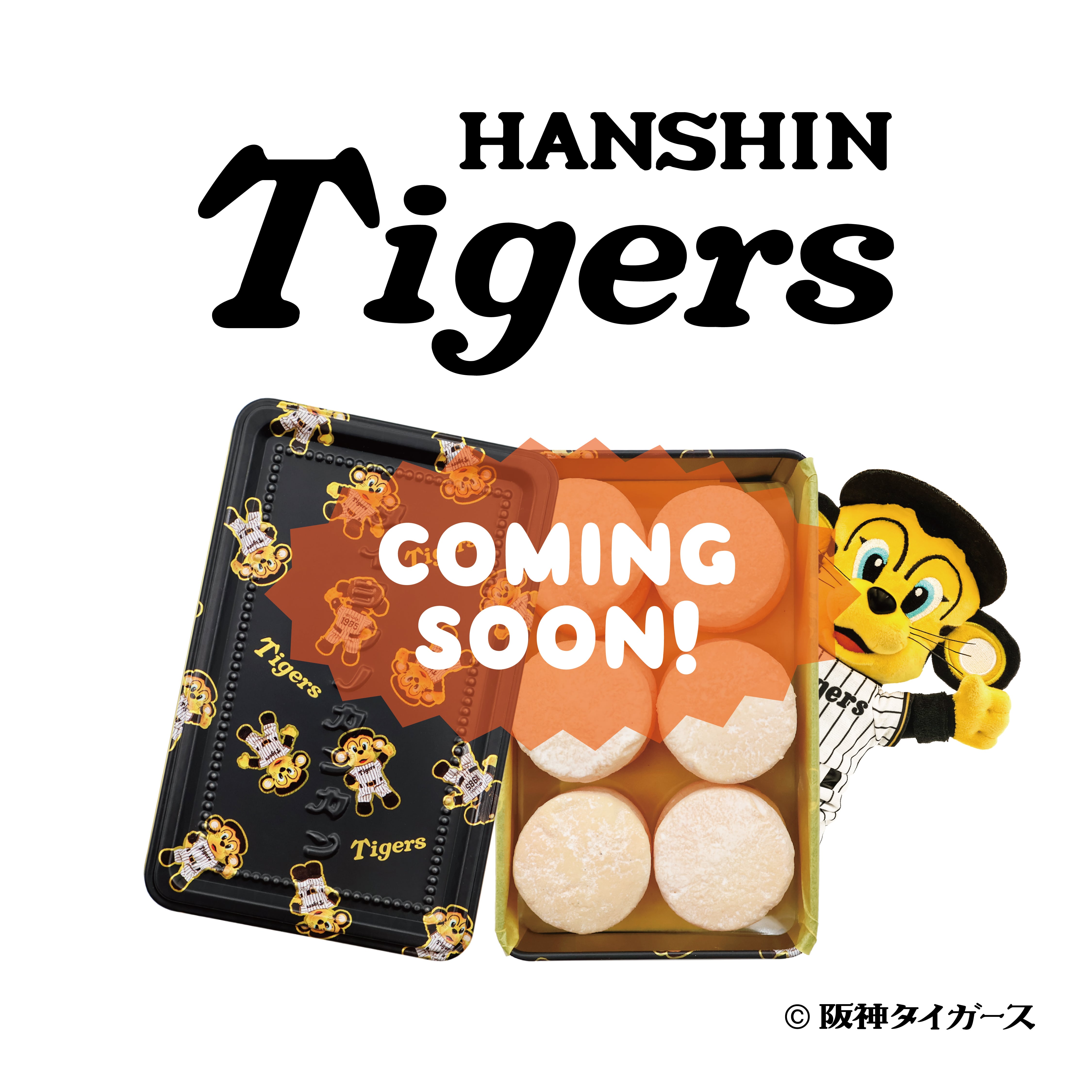 焼菓子 (クッキー缶・その他 ) | 太陽ノ塔洋菓子店通販サイト 大阪中崎