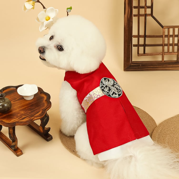 予約【ritogato】Ian Crown Prince Hanbok