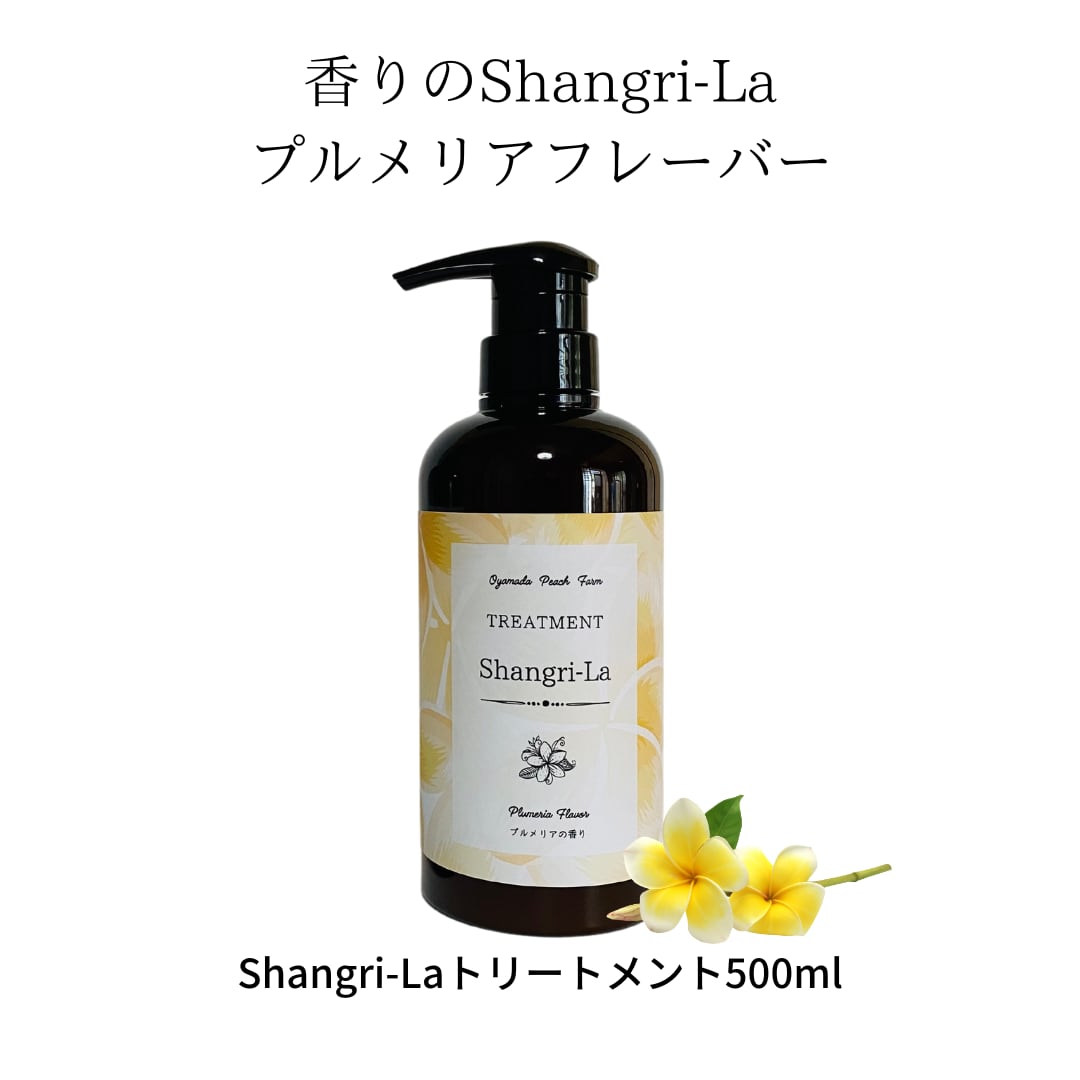 翌日発送可 ランちゃん様 ファウラシャンプー500ml8&ヘア