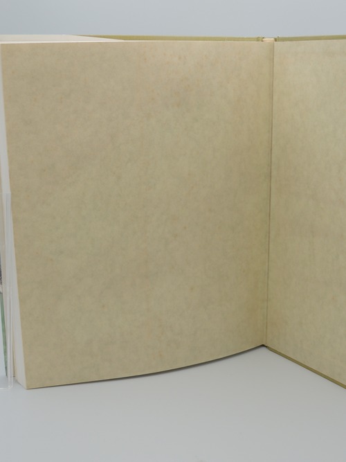 聖書植物辞典の商品画像6