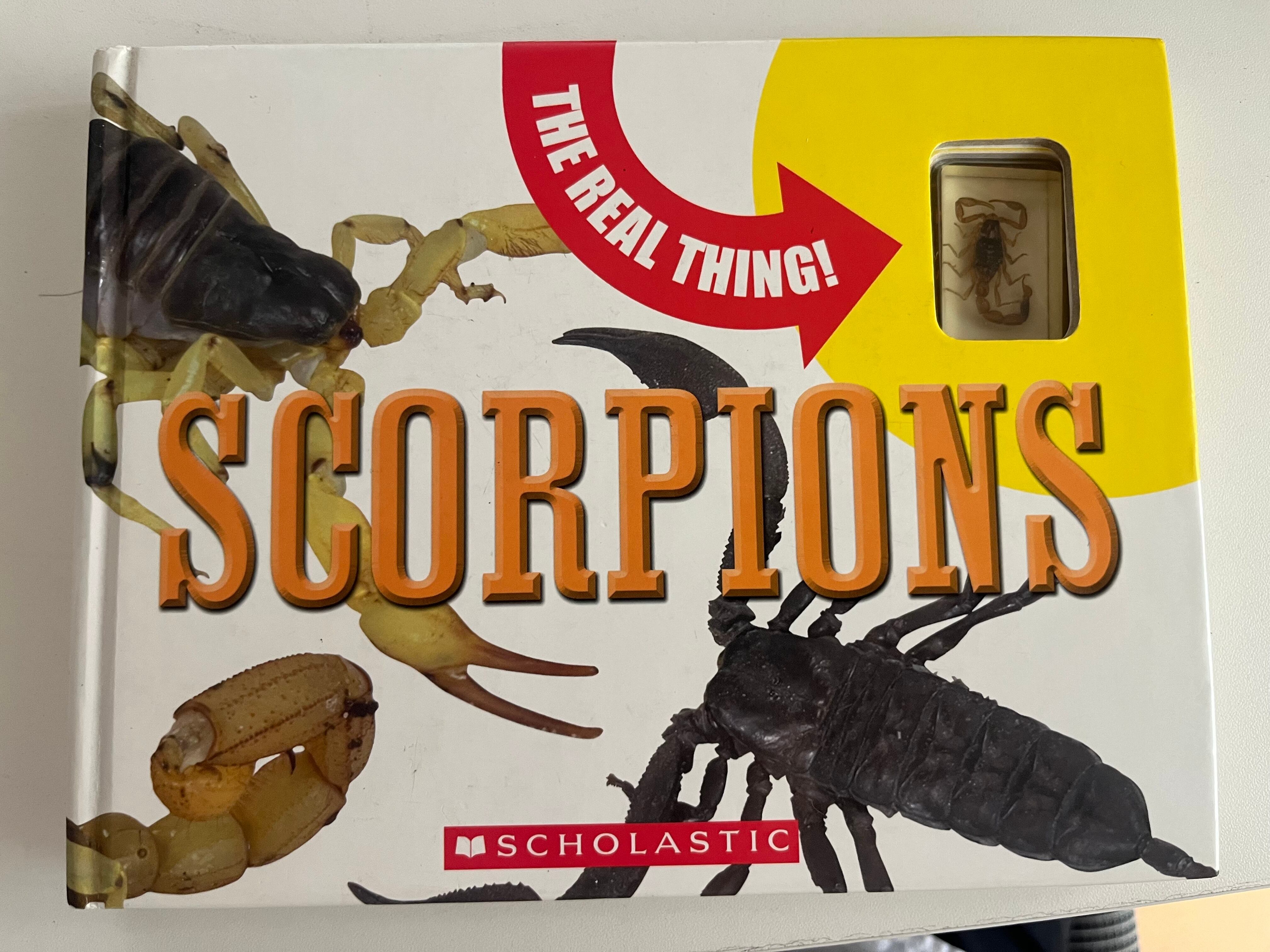 タランチュラの図鑑ムカデセンチピードサソリモドキ蜘蛛ツリー