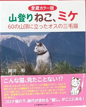 山登りねこ、ミケ