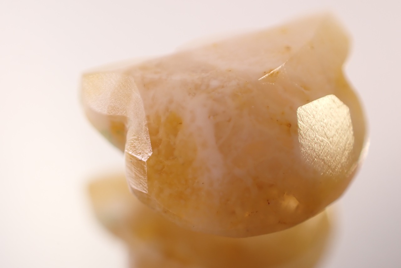 フォッシルコーラル(猫カット)　1.48ct　[D11‐578]