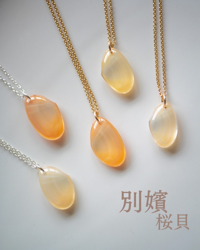 【別嬪桜貝】さくらひとえ ネックレス 金木犀