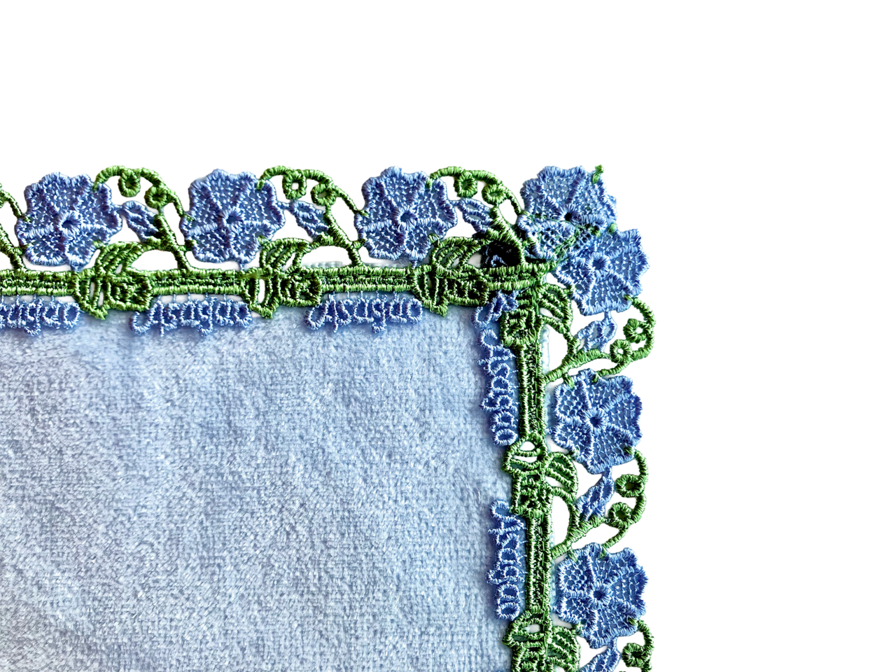 【近沢レース】朝顔