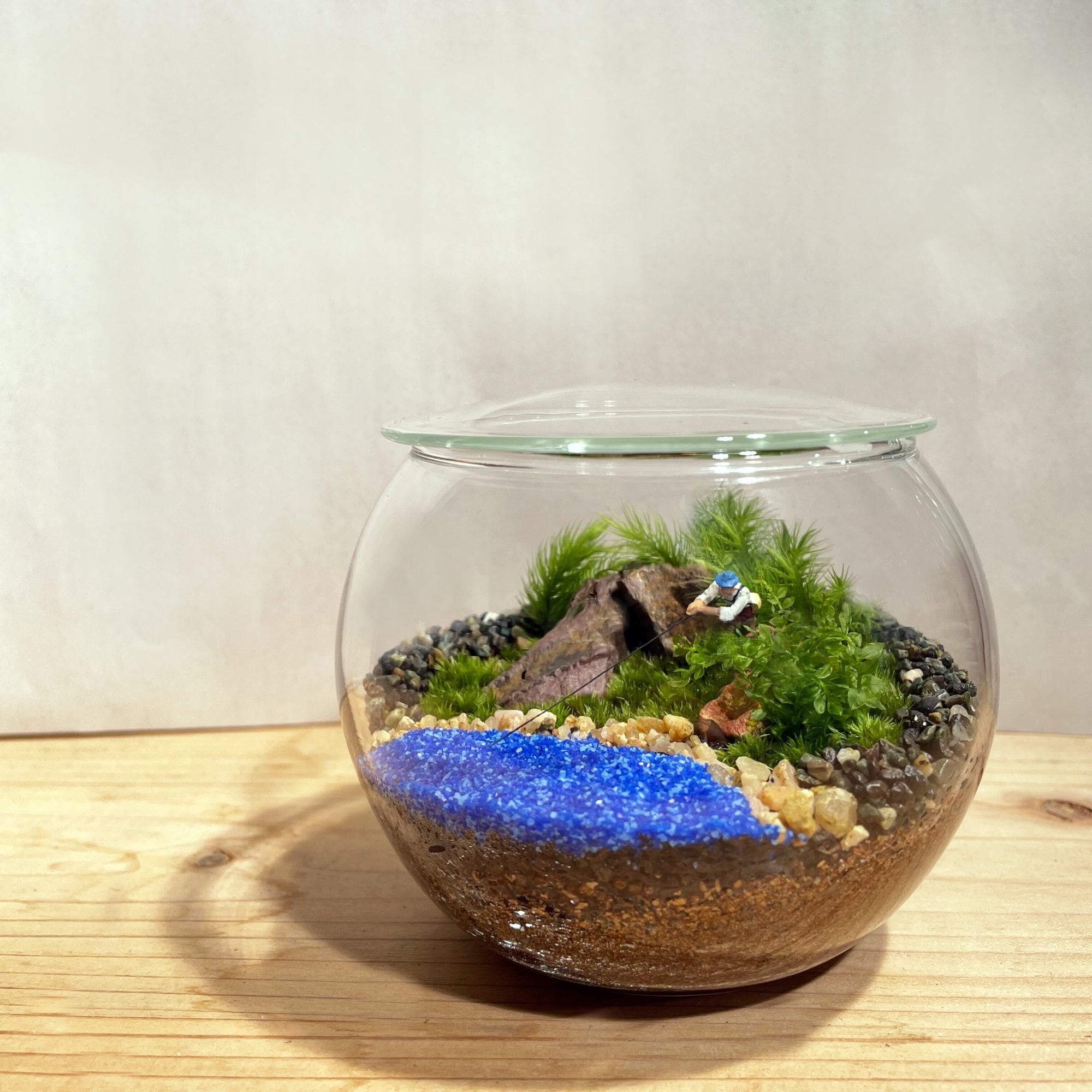 自然の中の飼育箱、苔テラリウム、アクアリウム、フレームあり