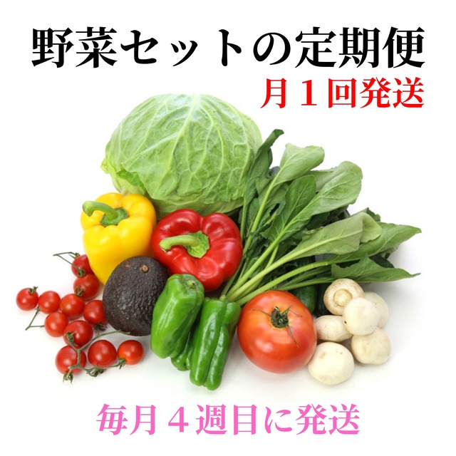 【定期便】野菜セット（月１回４週目発送）