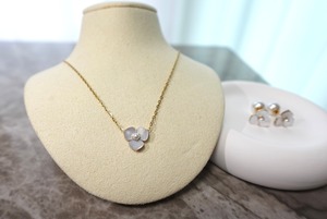 【SET】shell flower