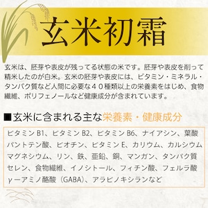 幻の米！玄米 岐阜県ハツシモ 10kg (5kg 2袋)　通常栽培米【令和５年産】