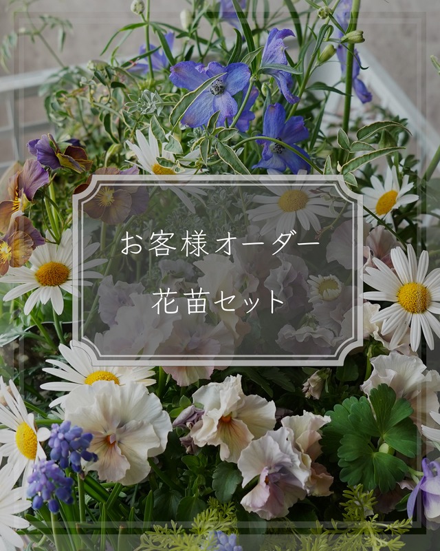 お客様専用　追加ご購入 苗セット