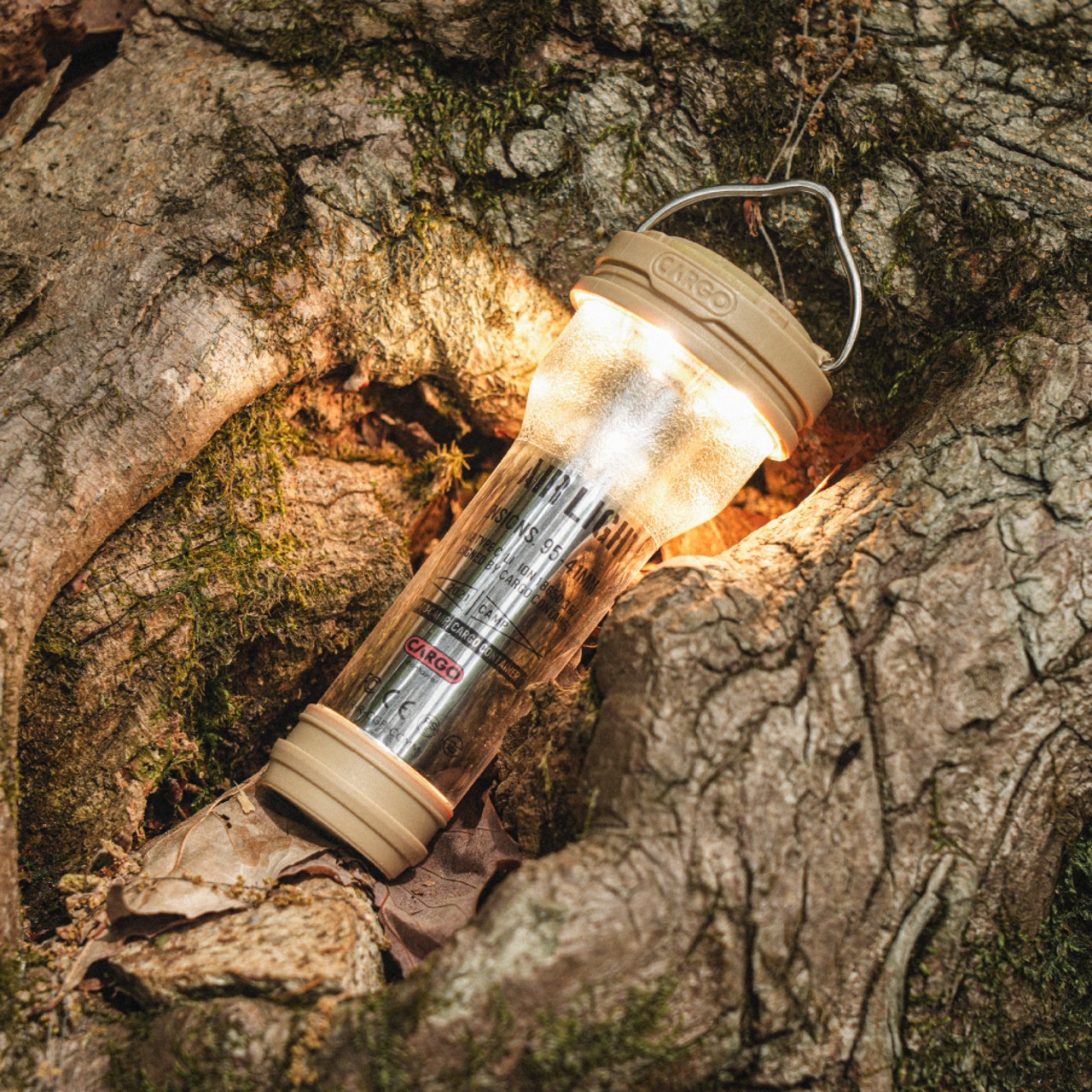 eb01008231e69acfaeec5ad8e19b56