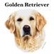 gray original Dog face &breed printed S/S TEE［Golden retriever］
