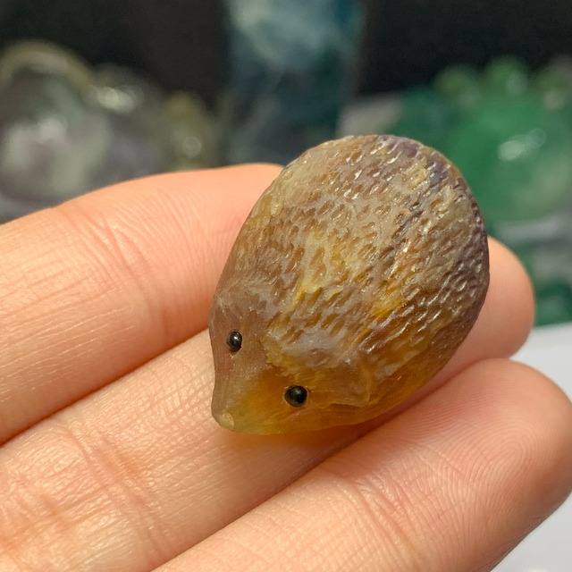 111つぶらな瞳フローライトハリネズミさん