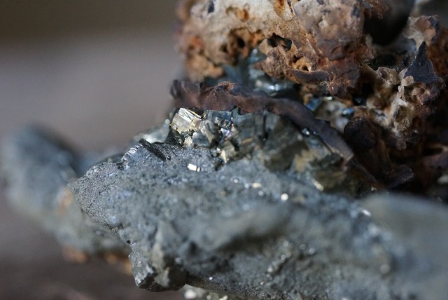 亀甲石 / パイライト 1  Septarian / Pyrite