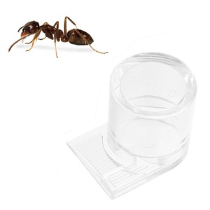 【努力特価】蟻の給水器 コオロギの給水器 小型 透明 3*4cm 爬虫類の餌皿 アリ農場アクセサリー アリの餌入れ クリア アリを飼う 昆虫用餌 アリの餌付けツール 掃除が簡単