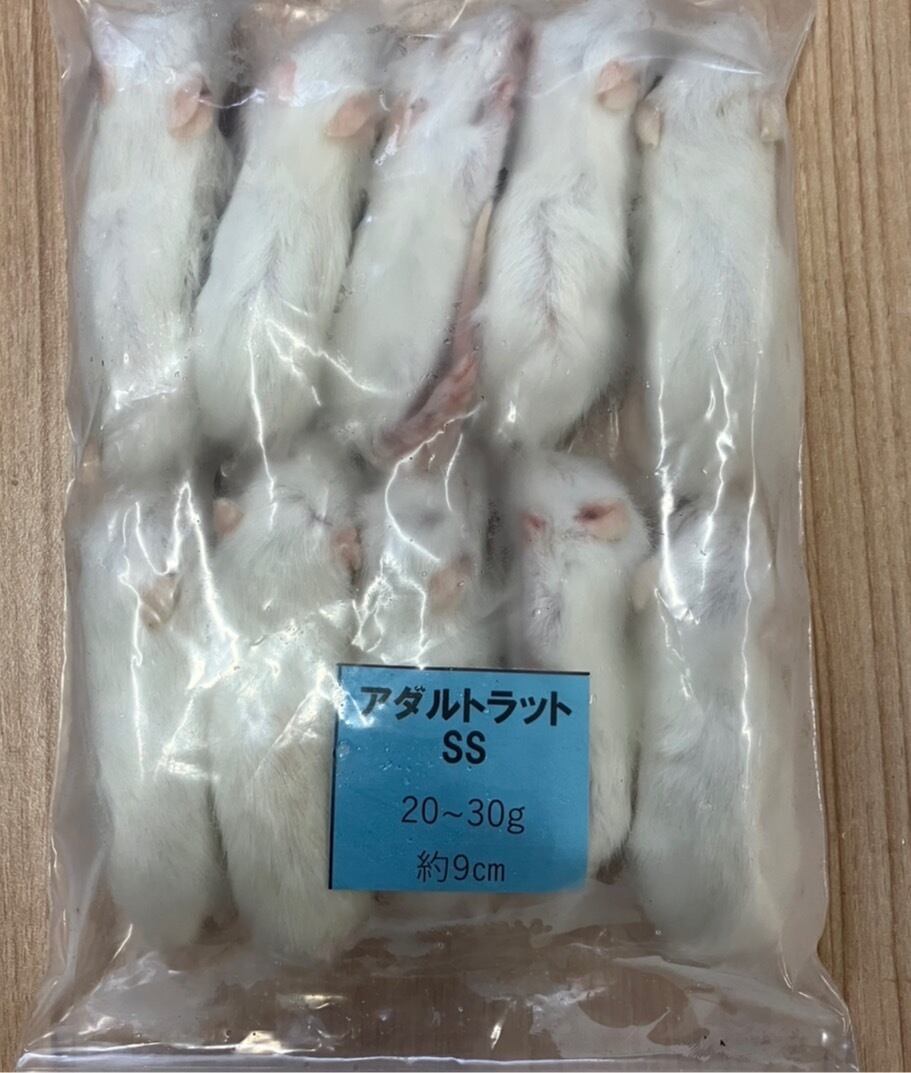 純国産冷凍クロコオロギLサイズ 100匹 | kenny