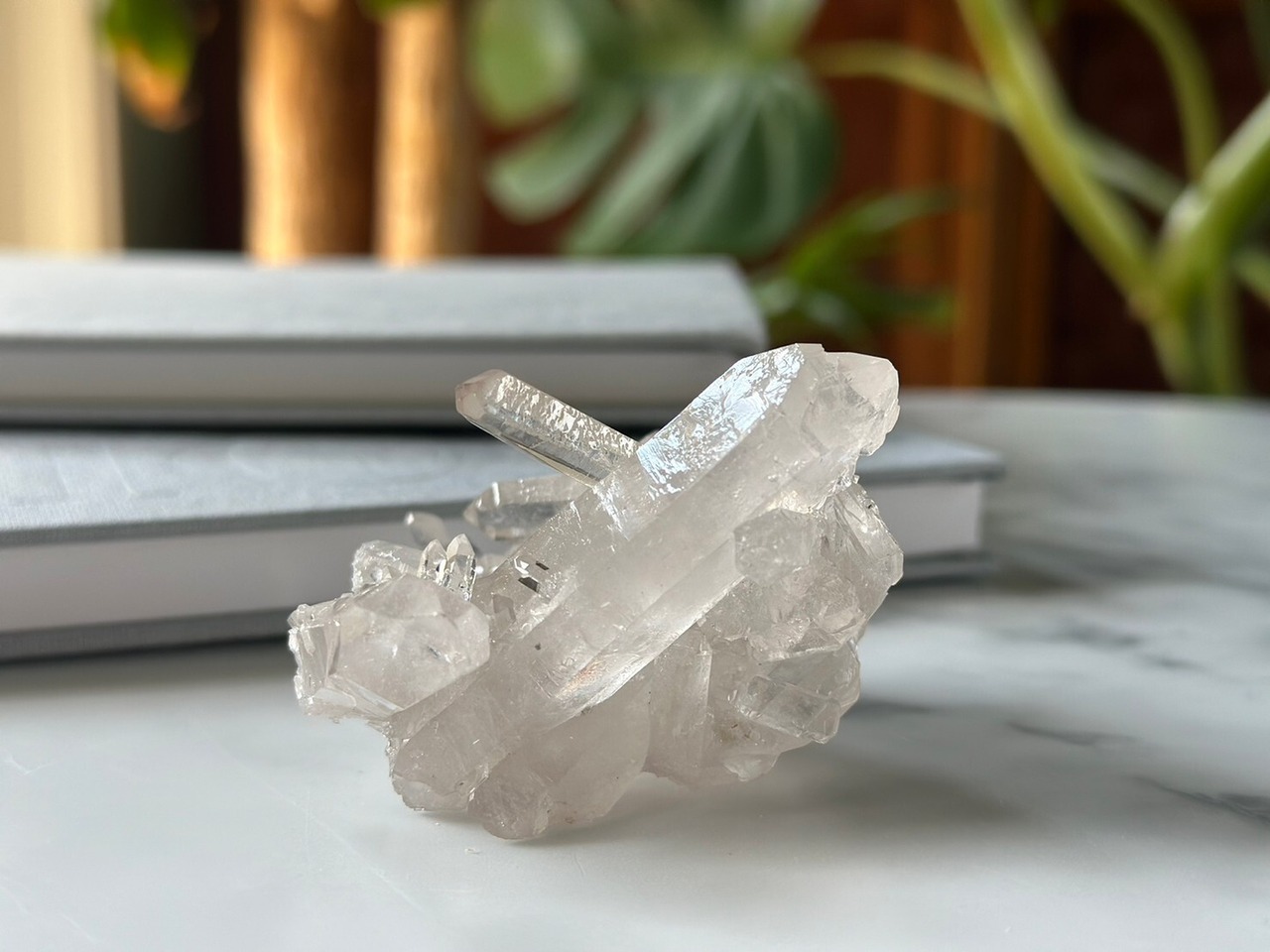 エグゼクティブオートクチュール22