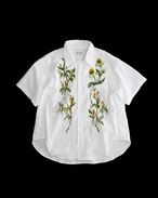 lace open collar shirt backcherry