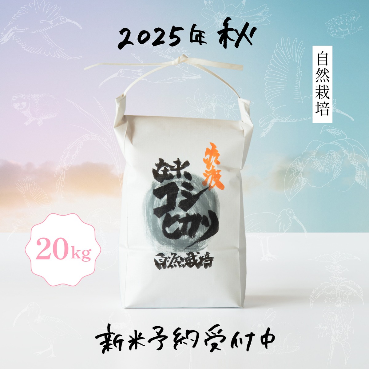 令和7年産 新潟県佐渡産 自然栽培【在来コシヒカリ】20kg | イケベジ