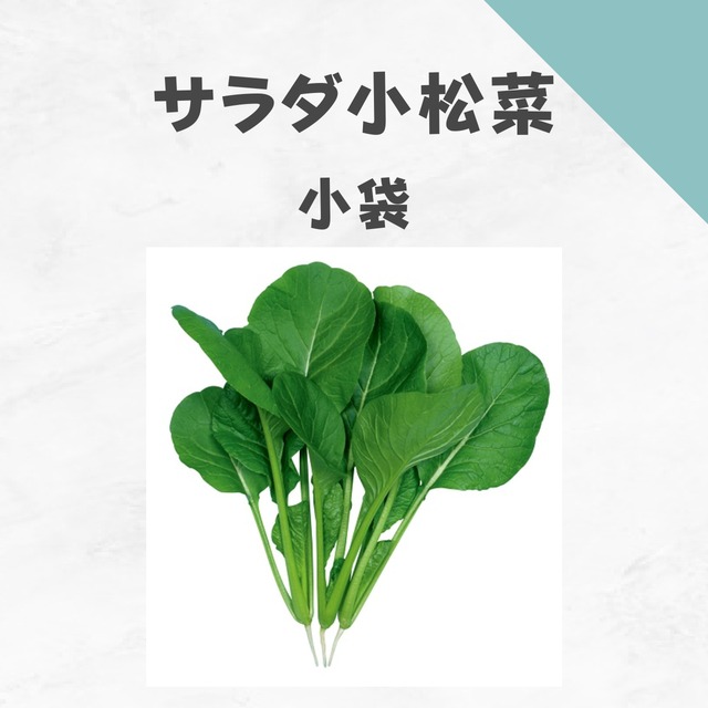 サラダ小松菜　コマツナ種子・小袋