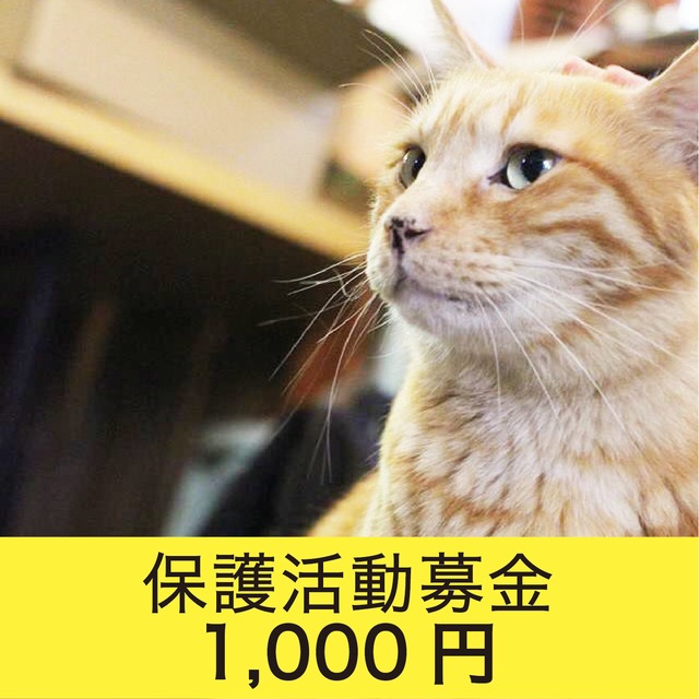 保護活動募金　1000円