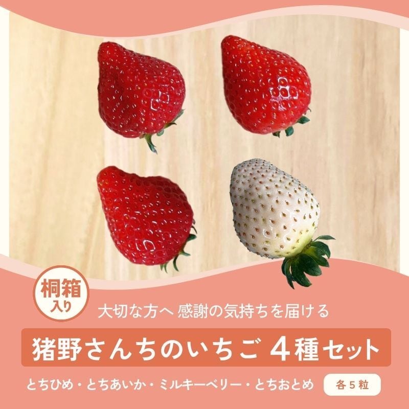 ミルキーベリー＆とちひめ（DXサイズ 6粒入り×各1P） | 猪野さんちの