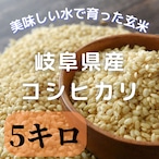 【送料無料】お米初出荷キャンペーンとして数量限定岐阜県七宗産コシヒカリ玄米(5キロ)